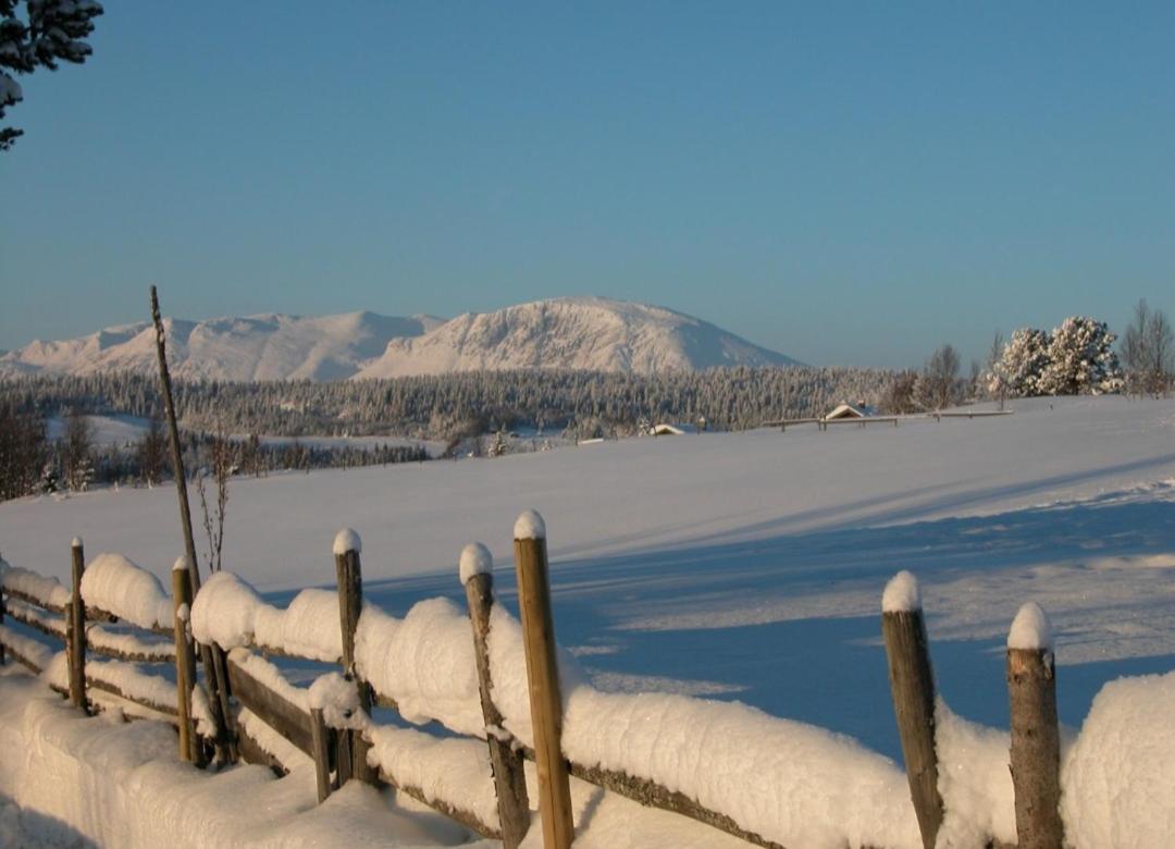 Fantastic And High Standard Apartment In Nordseter Lillehammer Buitenkant foto